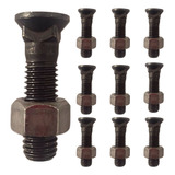 Kit 10 Parafuso Lamina