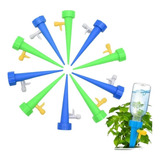 Planta