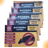 Kit 10 Ratoeira Adesiva Cola Forte