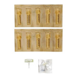 Kit 10 Seringas 05 Transferidor Caneta Pressurizada