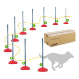 Agility