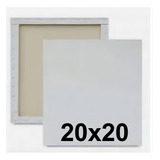 Kit 10 Tela De Pintura 20 X 20