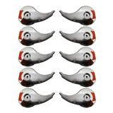 Calotinha