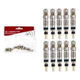 Kit 10 Und Nucleo