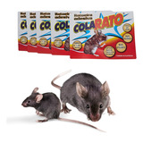 Kit 10 Unidades Ratoeira Adesiva Cola Rato Aranhas Pragas