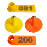 Amarelo