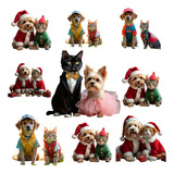 Kit 100 Moldes Pet Para Roupas De Cães E Gatos Pdf