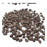 Kit 100 Sementes Maracuja Azedo Gigante Brs Hibrido