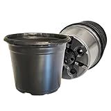 Kit 100 Vaso Vasinho Pote 11 De Muda Para Produtor De Cactos E Suculentas De Plástico Preto Pequeno 415ml