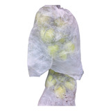 Kit 1000 Sacos Tnt Proteção De Frutas 18 X 26 Cm