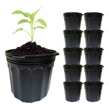 Kit 10un Vaso Embalagem C alça P mudas Preto Nutriplan 33l