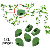 Trepadeira