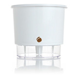 Kit 12 Autoirrigável 2 Branco Raiz Kit 2 Jardineiras