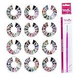 Kit 12 Discos Strass Variados Pedraria Pincel Pega Strass