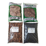 Kit 12 Litros Substrato P Orquídeas Musgo Pinus Chip Cavão