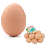 Galinha