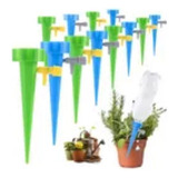 Planta