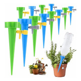 Planta