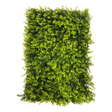 Kit 12 Placa De Eucalipto 40x60 Jardim Vertical Artificial