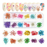 Kit 12 Potes Com Flores Secas Modelos Variado Nail Art Unhas