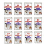 Kit 12 Sachê Royal Canin Sterilised