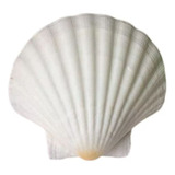 Decoração