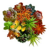 Kit 12 Unidades Planta Artificial Suculentas Coloridas Sem Vaso Loja Sensorial Modelos E Formatos Diferentes Monte Seu Arranjo