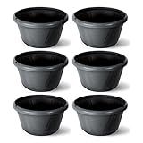 Kit 12 Vaso Cuia Nobre Preto Prato Acoplado Nutriplan Para Rosa Do Deserto E Samambaia