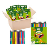 Kit 120 Caixas De Lápis De Cor Mini 12 Cores Eco Sextavado
