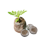 Kit 120 Jiffy Células Germinação Cultivo Indoor Grow Led