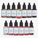 Kit 13 Cores Gamma Pigments Sobrancelhas E Lábios