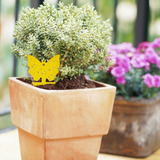Kit 15 Armadilha Amarela Pega Insetos Para Vasos E Jardim