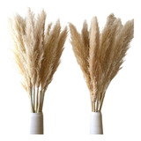 Kit 15 Hastes Capim Dos Pampas Arranjo Floral Decor Grande
