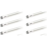 Kit 16x Lampada Led