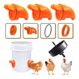 Laranja
