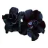 Kit 18 Sementes De Rosas Do Deserto  negras  Super Raras