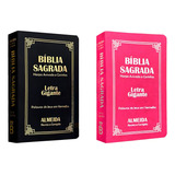 Kit 2 Biblias Letra