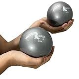 Kit 2 Bolas Toning Ball Funcional De Peso 0 5Kg DS1060 Prata Dafoca Sports