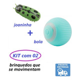 Kit 2 Brinquedos Interativo