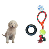 Kit 2 Brinquedos Pet Pneu Médio Corda Resistente Com Bolinha