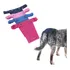 Kit 2 Calcinha Higiênica P  Cio Cachorra Pet   Tam Gg Ou Exg