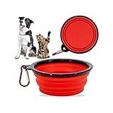 Kit 2 Comedouros Bebedouro Prato Retrátil Pet Cachorro Gatos   Cores Sortidas