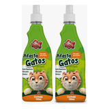 Gatinho