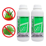 Kit 2 Glifosato Mata Mato Líquido Original Herbicida Forte