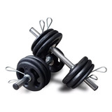 Musculação