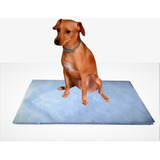 Kit 2 Jornal Pet P Pipi Dog 500 Un Higiênico Descontaminado