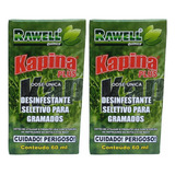 Jardim
