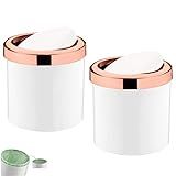 Kit 2 Lixeira 5 Litros Tampa Basculante Cesto De Lixo Rose Gold Para Cozinha Banheiro Escritório   Future   Branco