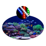 Kit 2 Luminárias 87 Barra Tubo Led Iluminação Aquário Peixes