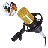 Kit 2 Microfones Estúdio Pop Filter